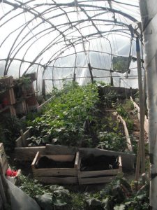 292469_10150228866744945_1605899057_n