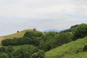 380446_10152003054920328_339628631_n