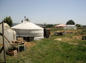 418765_10150228867534945_1076340806_n