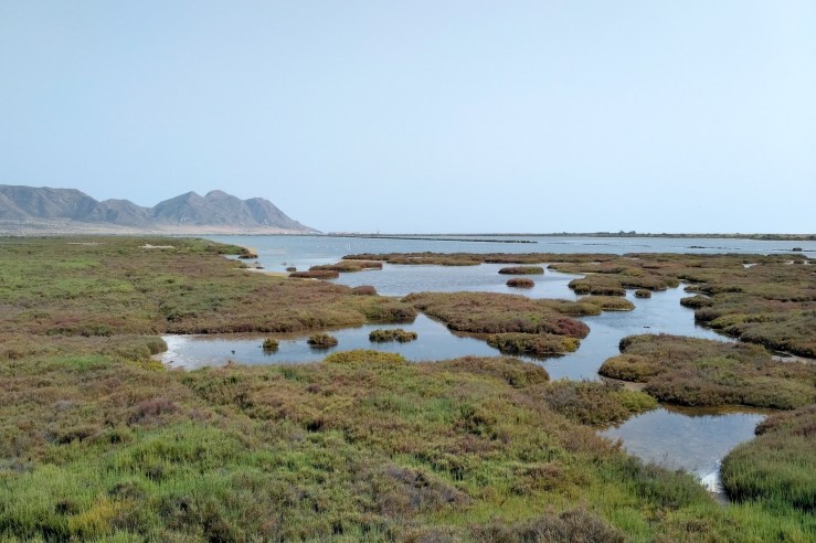 LRM_EXPORT_20170425_190427